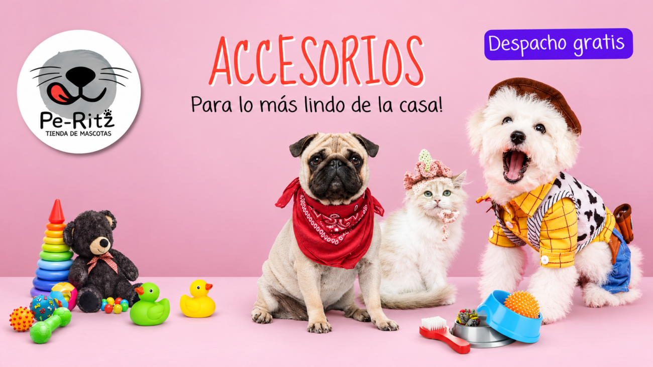 Accesorios para mascotas adorables